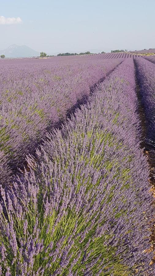 La provence vous attend ***!!!!!! Digne-les-Bains Extérieur photo