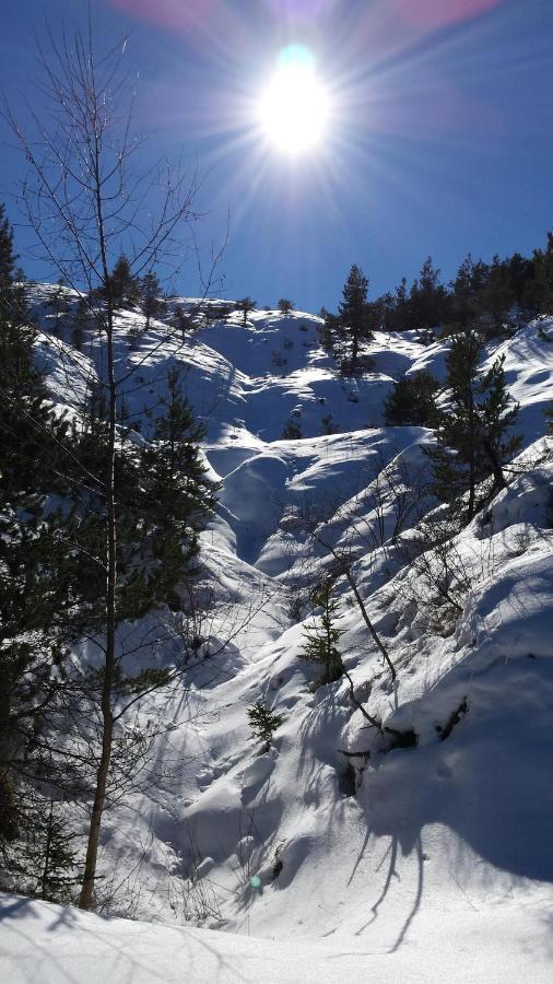 La provence vous attend ***!!!!!! Digne-les-Bains Extérieur photo
