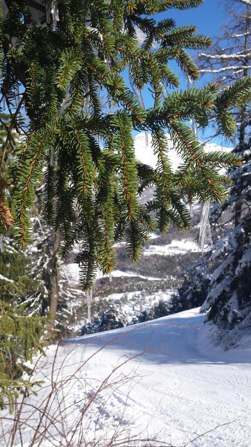 La provence vous attend ***!!!!!! Digne-les-Bains Extérieur photo